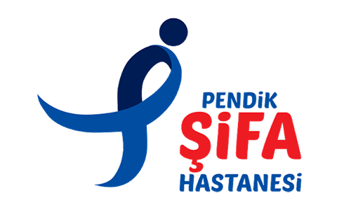 pendik şifa hastanesi