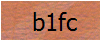 iletişim captcha